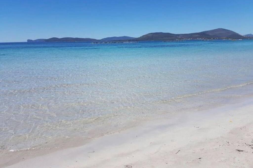 Alghero Sun & Sea - Spiaggia A 50 Metri Buitenkant foto