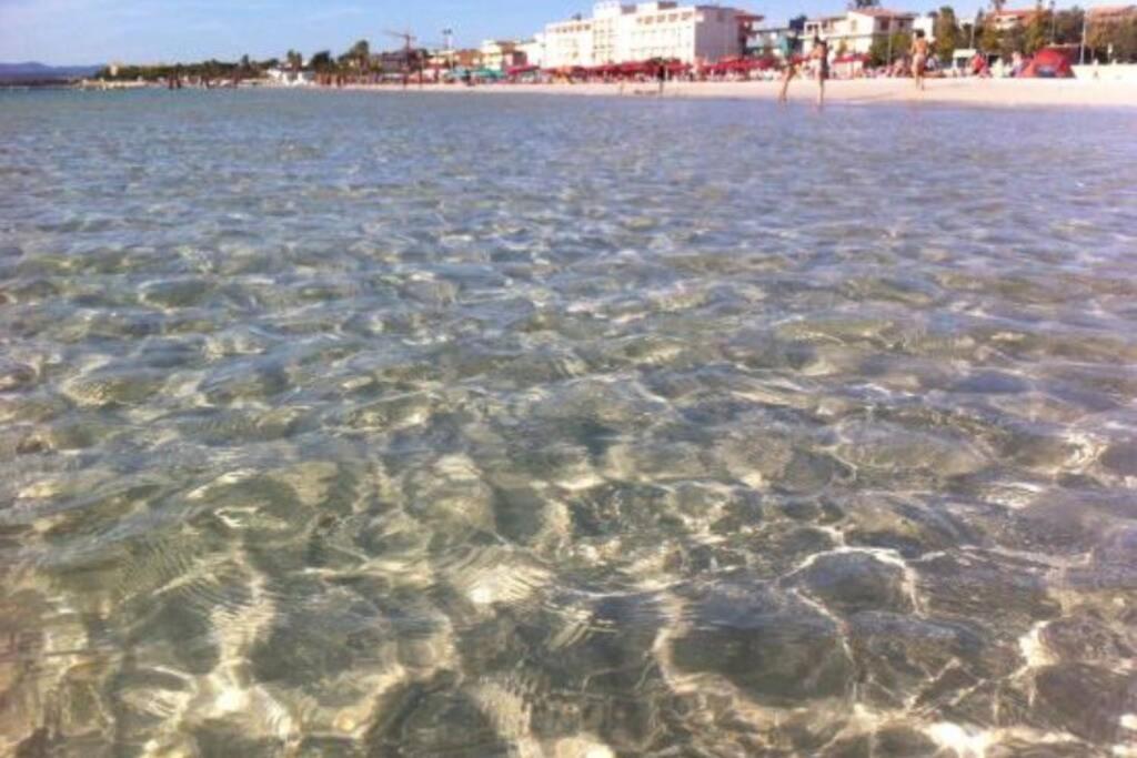 Alghero Sun & Sea - Spiaggia A 50 Metri Buitenkant foto